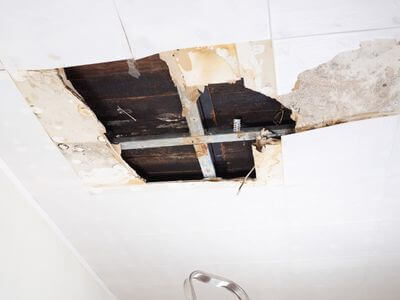 About Hattiesburg MS Mold Remediation Pros - mold remediation experts in Hattiesburg